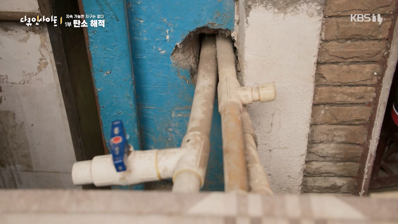 다큐 인사이트.E177.240112p-NEXT.mp4_20240113_155836.204.jpg