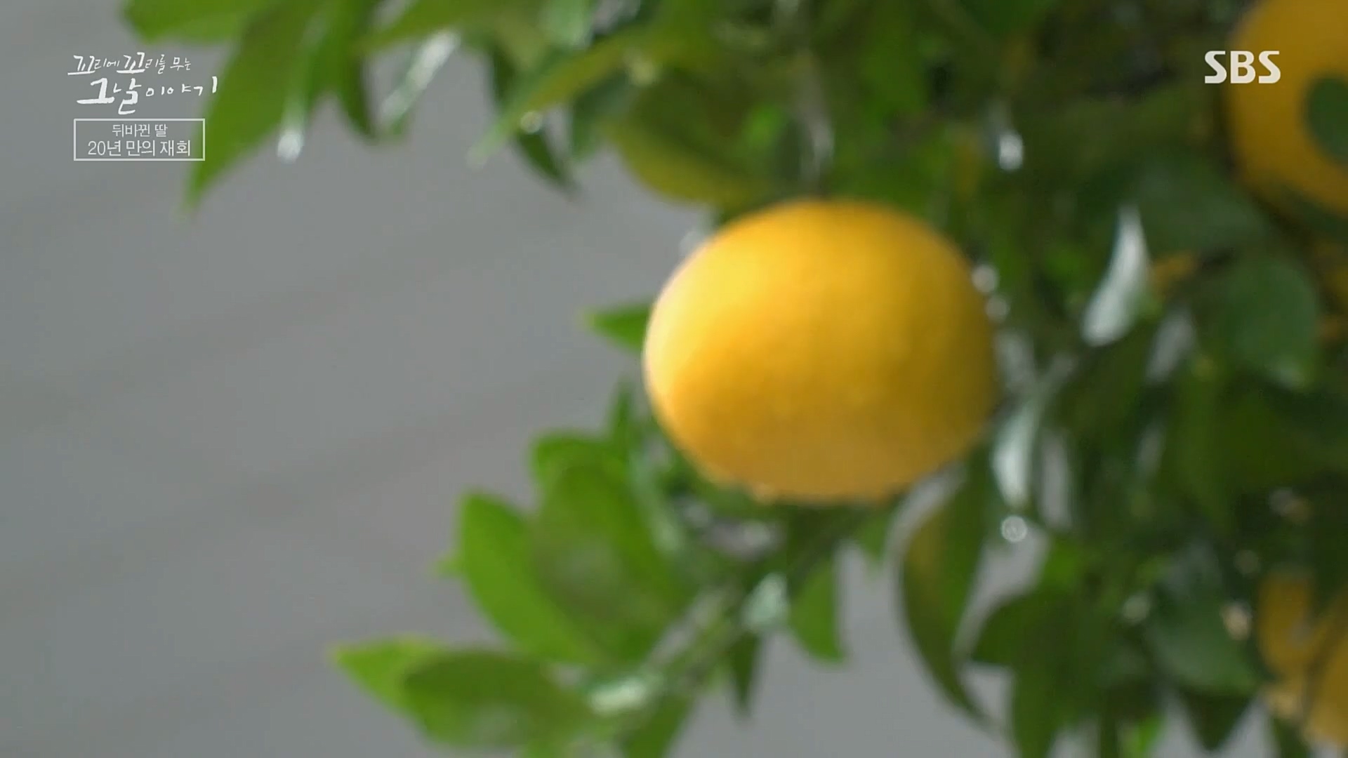 꼬리에꼬리를무는그날이야기.E64.230202p.H264-F1RST..mp4_20230205_193005.072.jpg