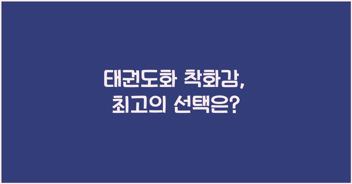 태권도화 착화감