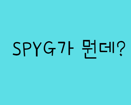  미국 ETF SPYG가 도대체 뭔데?