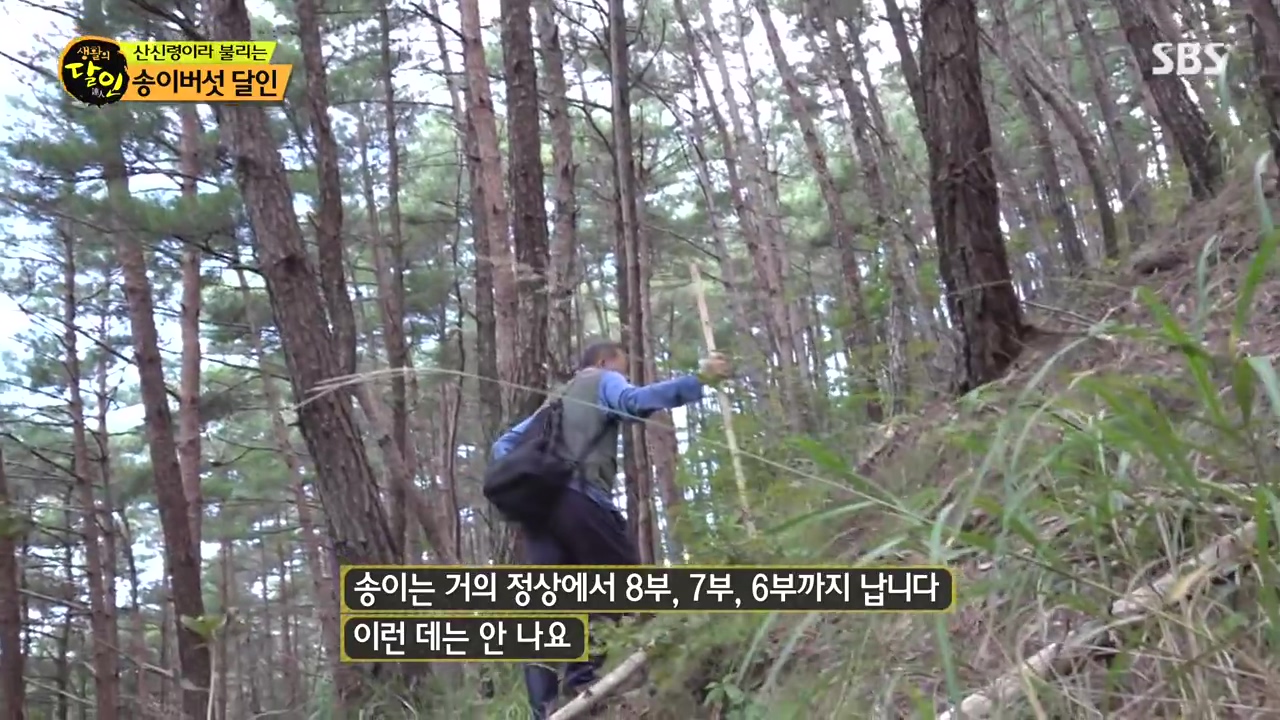 생활의 달인.E907.231010p-NEXT.mp4_20231010_202645.605.jpg