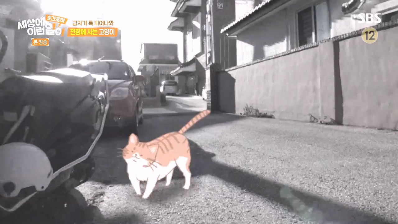 순간포착 세상에 이런일이.E1259.240107p-NEXT.mp4_20240107_163619.855.jpg