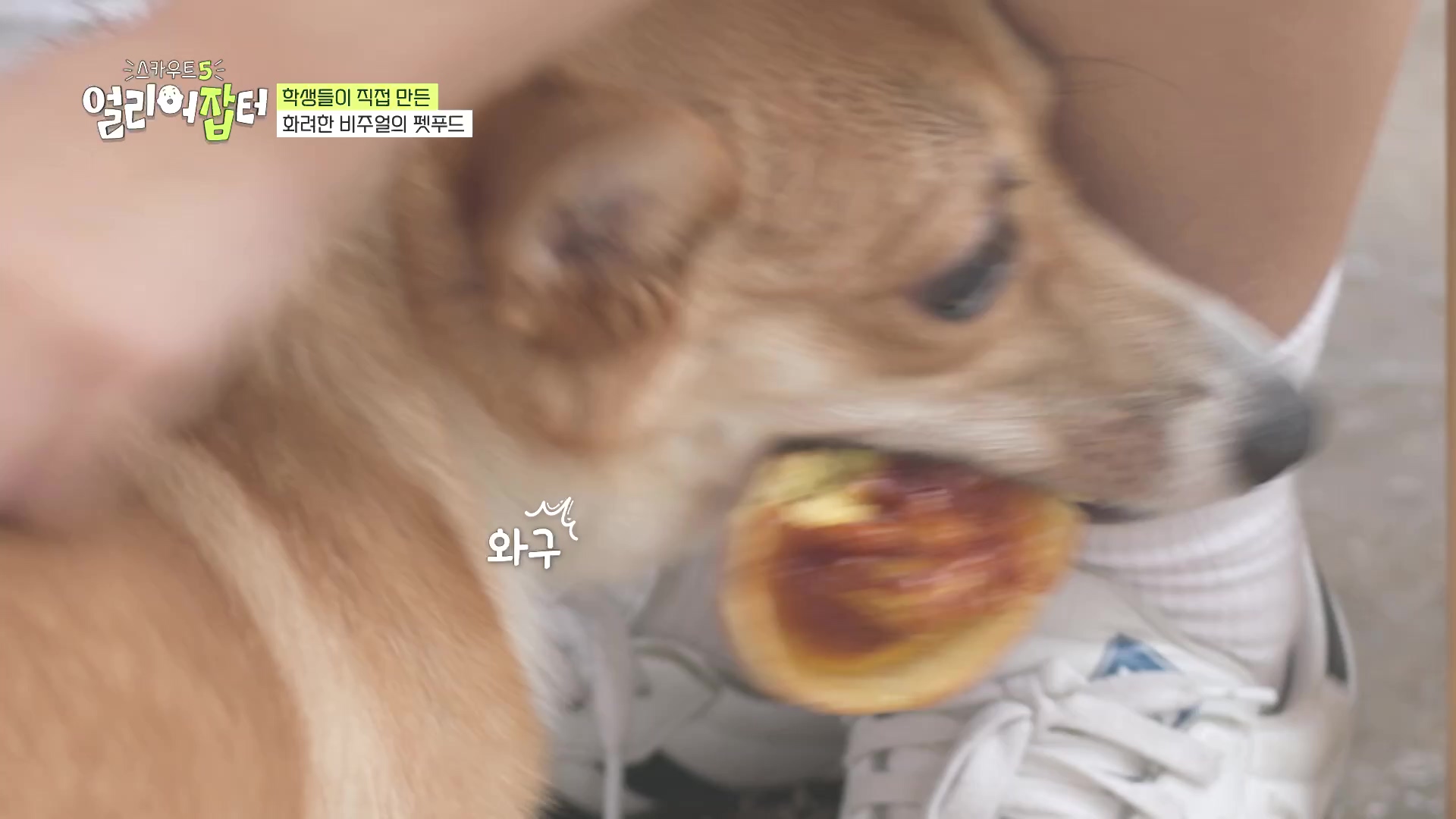 국내 대회 심사위원도 참여한 국제 대회에서 장려상 받은 고등학생 | 인스티즈