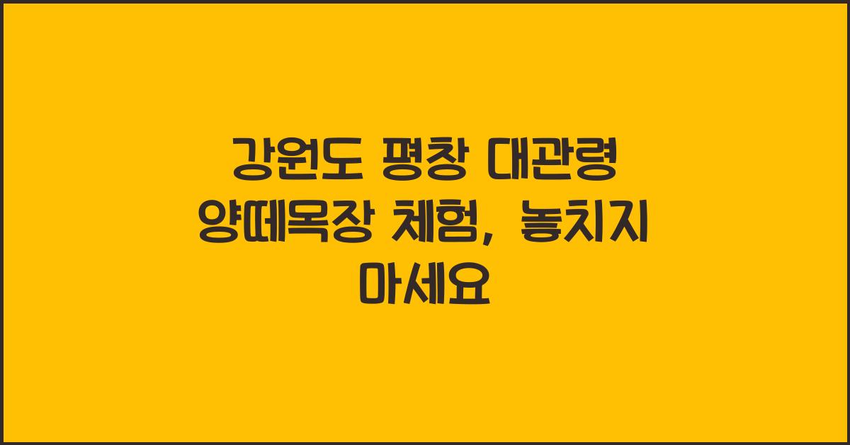 강원도 평창 대관령 양떼목장 체험