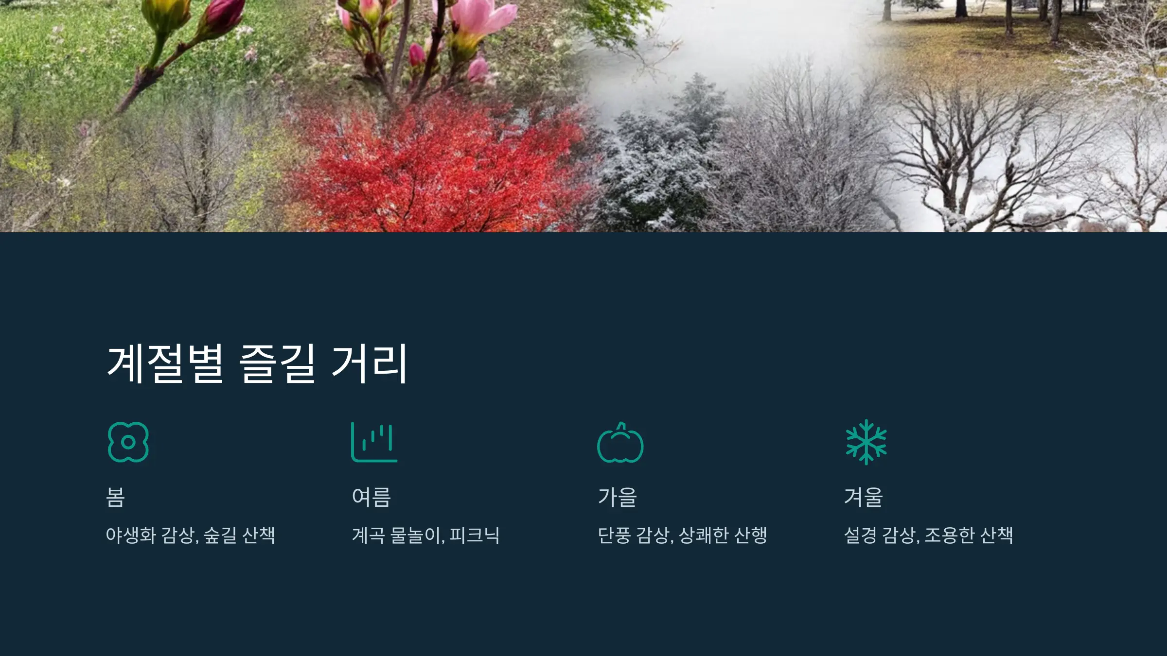 백운산 자연휴양림 사계절