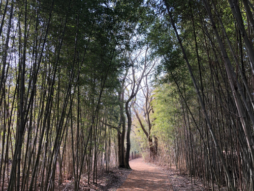 내변산 등산코스