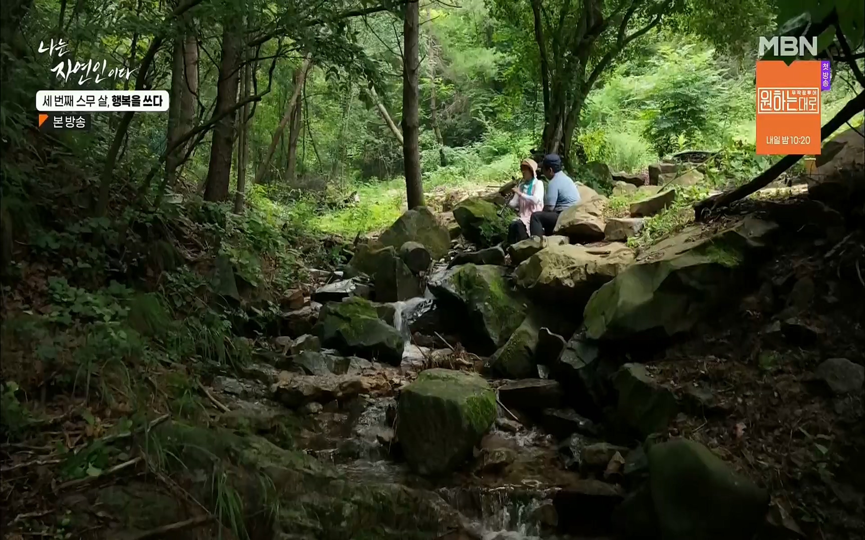 나는 자연인이다.E516.220824p.H264-F1RST.mp4_20220825_164147.782.jpg