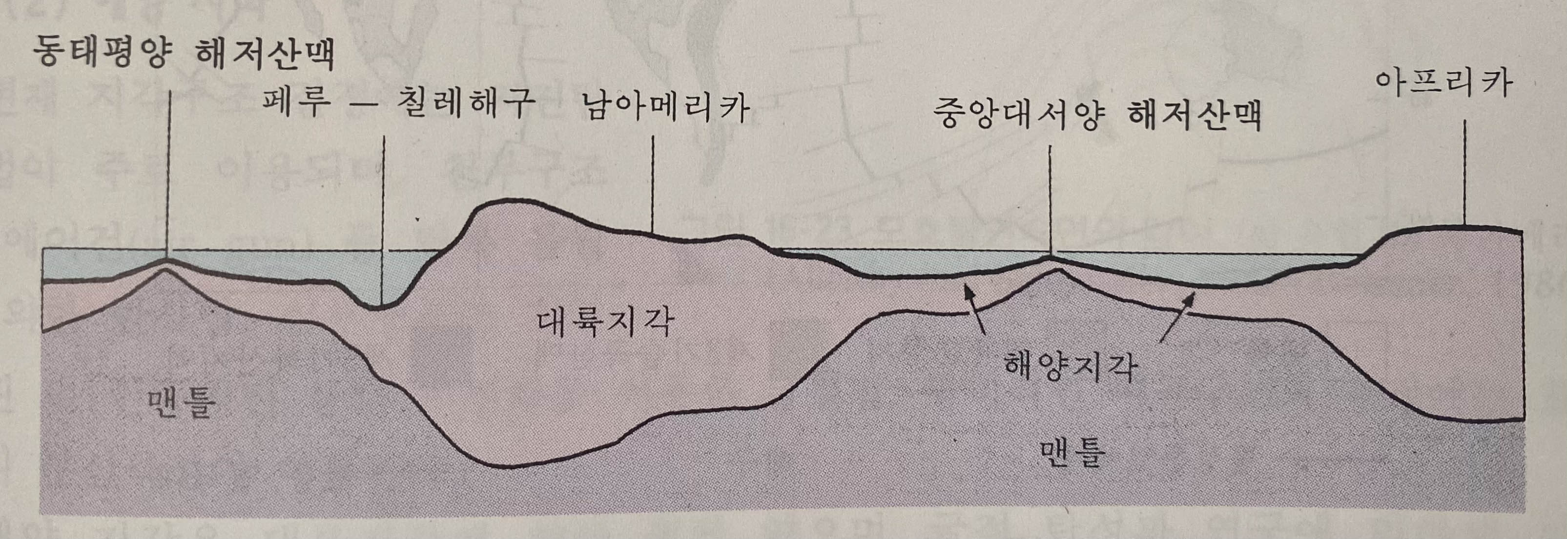 해양 지각