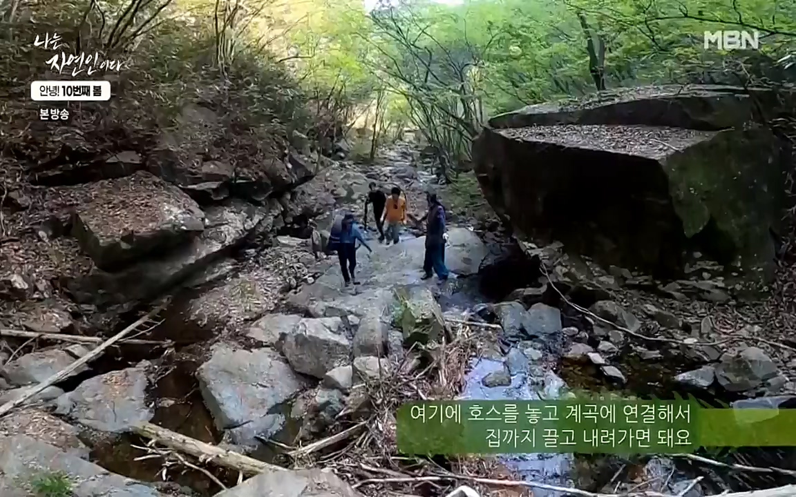 나는 자연인이다.E500.220505p-NEXT.mp4_20220505_180224.960.jpg