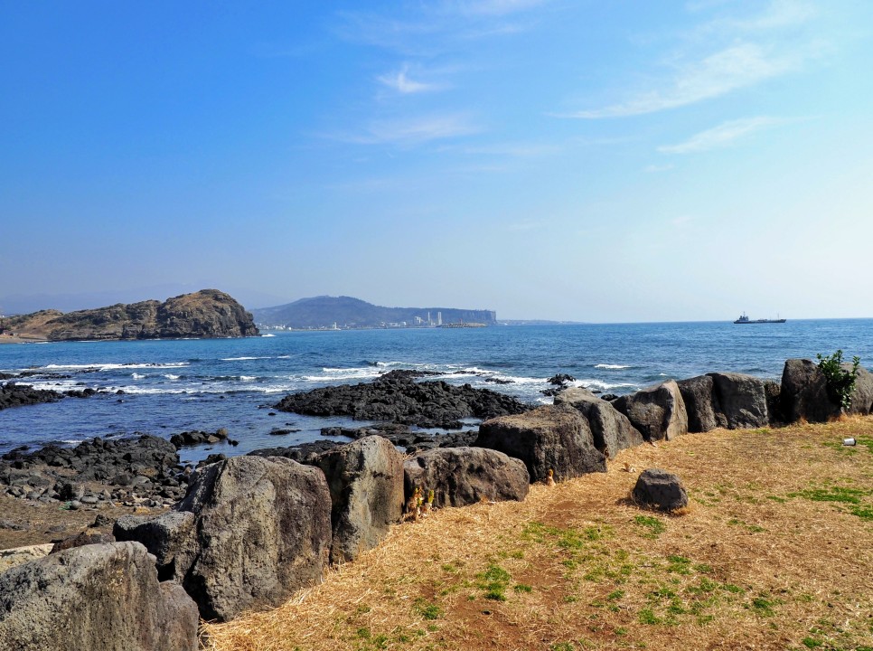 오늘 24도 가볍게 입으세요 2월 제주도 날씨 19