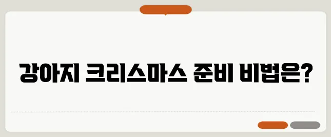 크리스마스를 미리 준비해보자 강아지를 위한 코스튬과 의류로 특별한 순간을 만들어보세요!