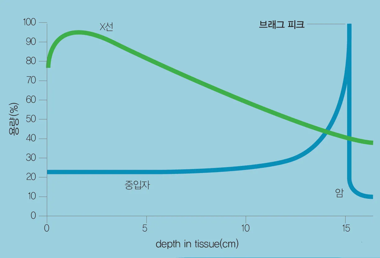 중입자의 Bragg Peak