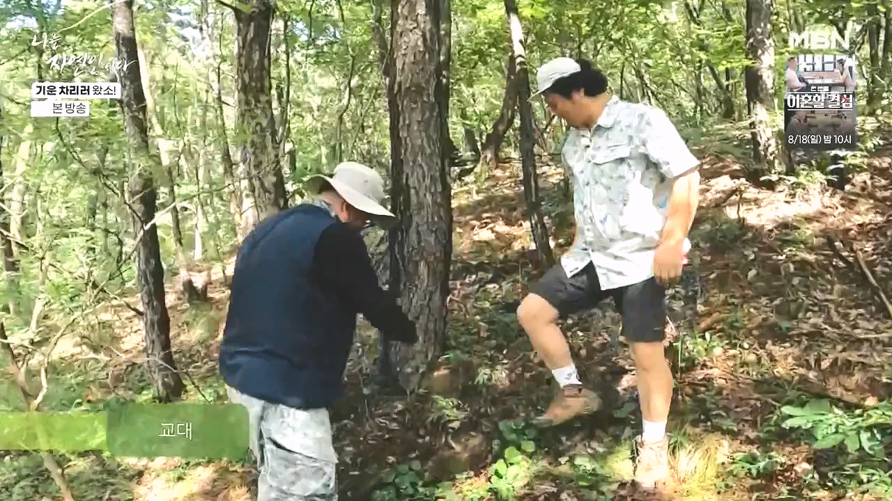 나는 자연인이다.E617.240808p-NEXT.mp4_20240808_195047.586.jpg