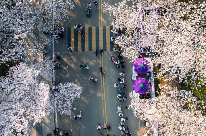 4월축제