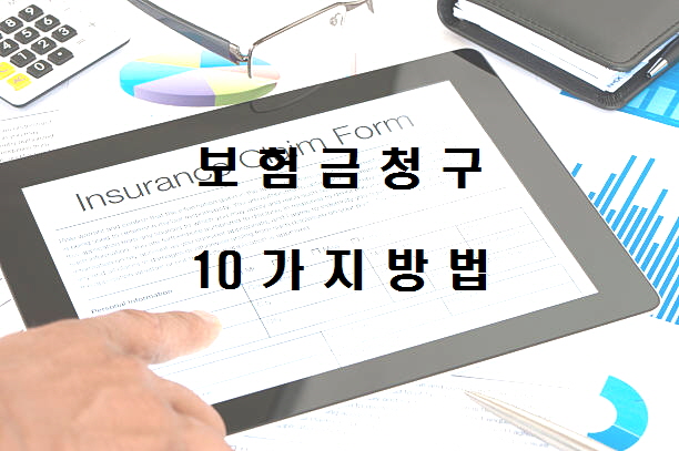  노다지네 잡학다식