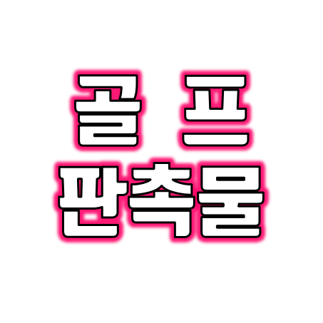  홀인원선물 및 기념품 제작 골프 기념품 사은품 판촉물 골프공 우산 쿨토시 볼마커 등