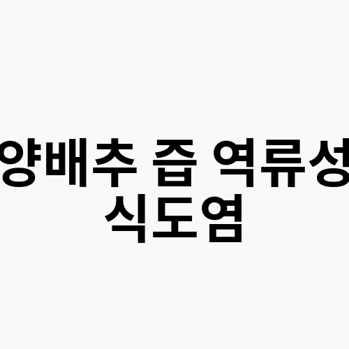 양배추 즙 역류성 식도염