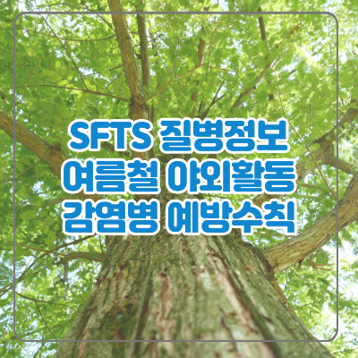  SFTS 여름철 야외활동 시 꼭 주의해야 할 중증열성혈소판감소증후군 총정리