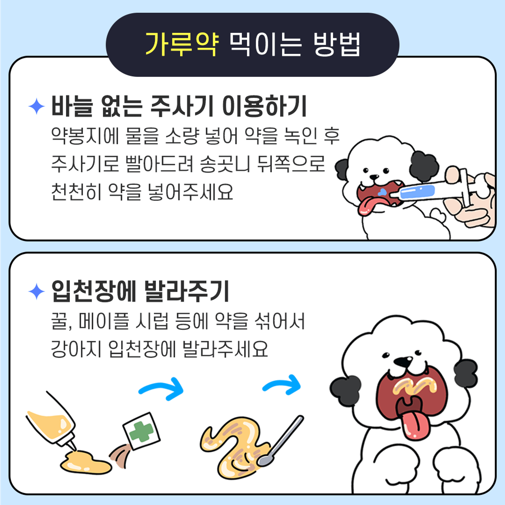 가루약 먹이는 방법