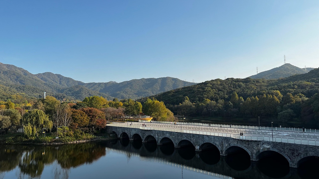 서울대공원 입구 교각과 강이 내려다 보이는 전경