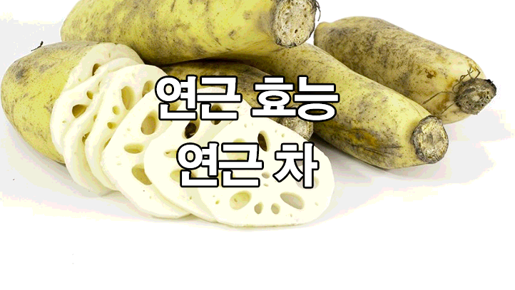  연근 효능 및 먹는 방법 : 연근 차