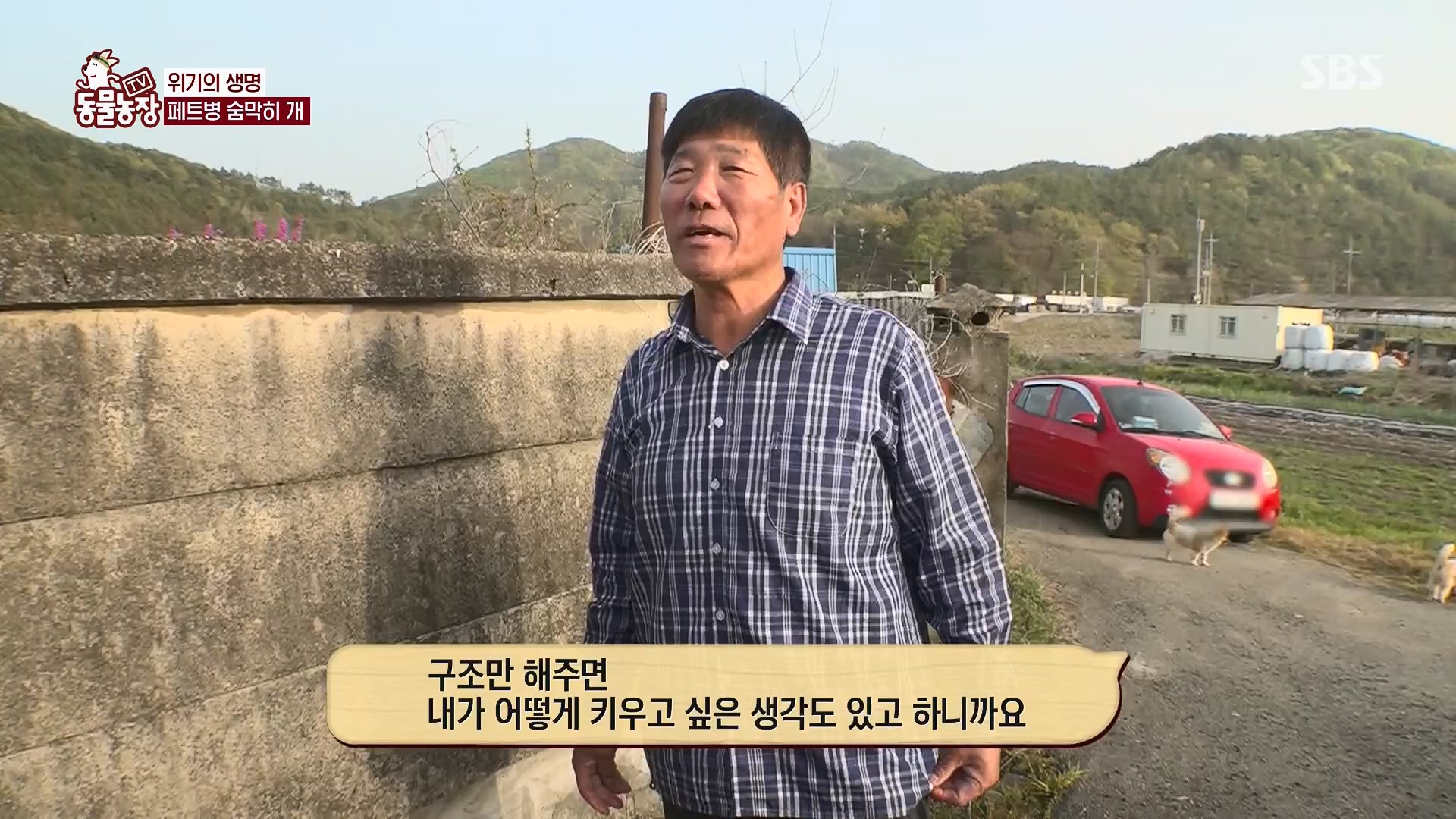 TV 동물농장.E1119.230507p.H264-F1RST.mp4_20230507_135912.047.jpg