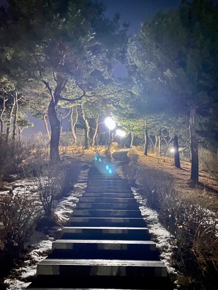 원미산-죽음의계단-사진