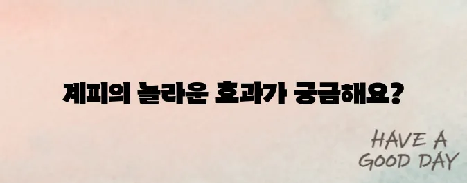 계피 효능과 부작용 (혈당 조절, 다이어트, 섭취 주의사항)