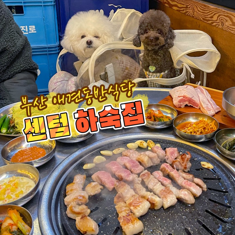 가정식백반 대표 사진