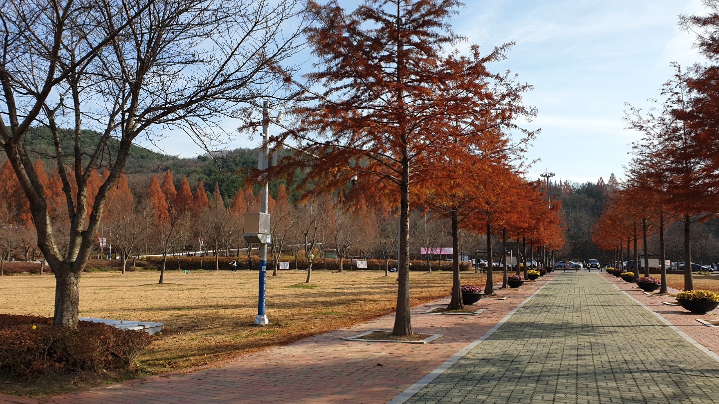 대청호 근처 공원