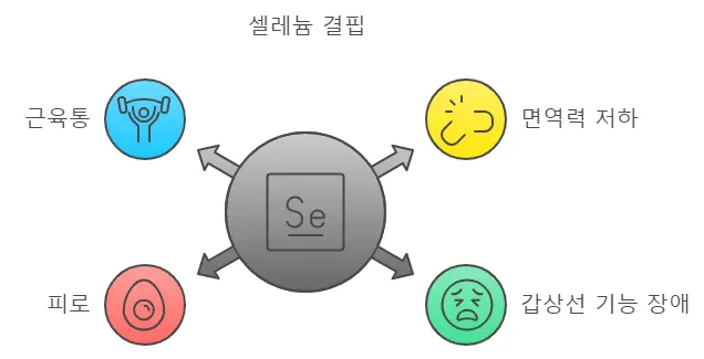 셀레늄 결핍증상