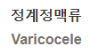  정계정맥류 [Varicocele]