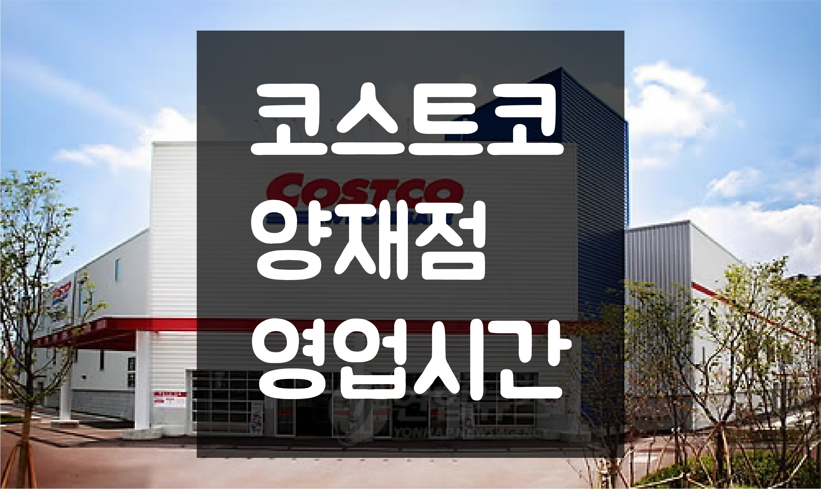  양재 코스트코 영업시간 및 휴일(정기휴무일) 정보