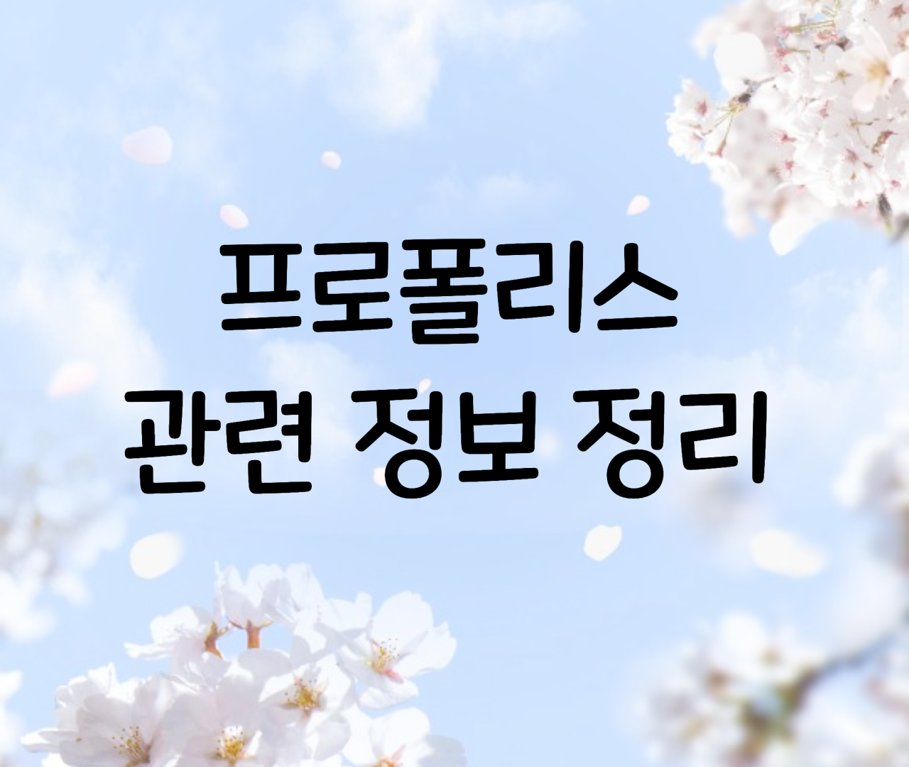  프로폴리스 부작용, 고르는법, 먹는방법(먹는법), 좋은점