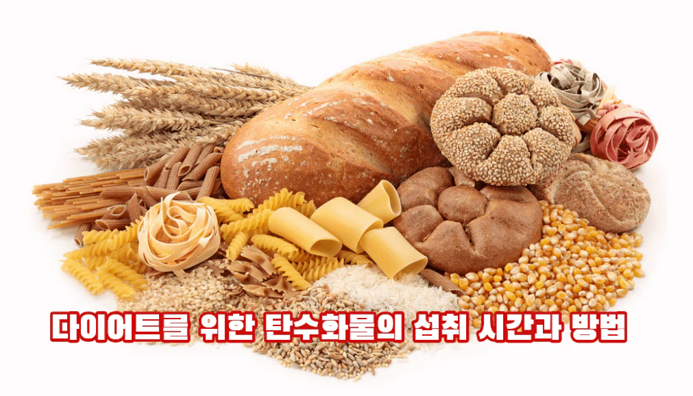 빵과 곡식 등 탄수화물