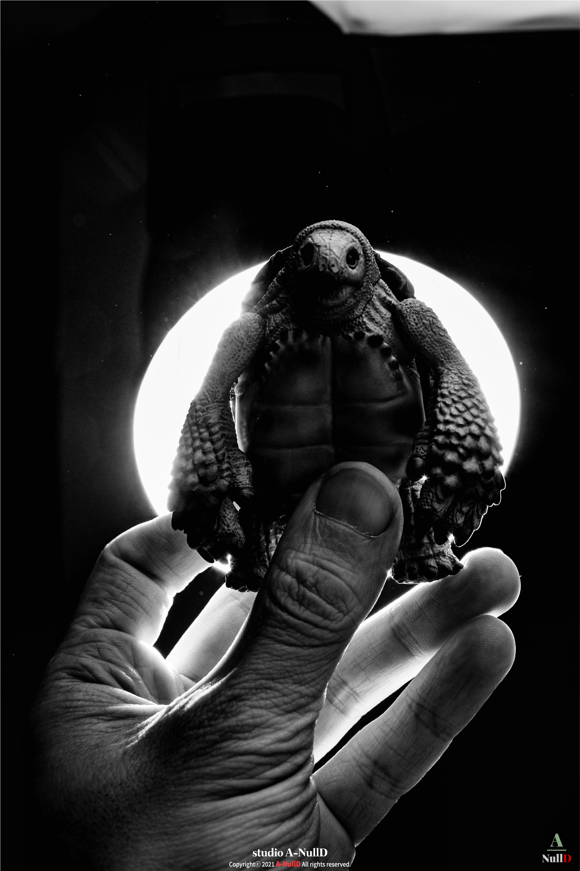  실내 스튜디오 제품 촬영, [Gray Turtle] 피규어, 아트토이.