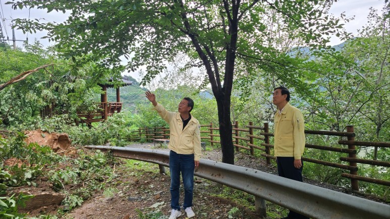강우 이미지