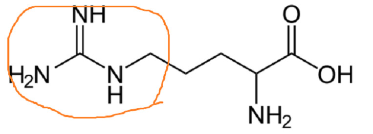 아르기닌-화학구조