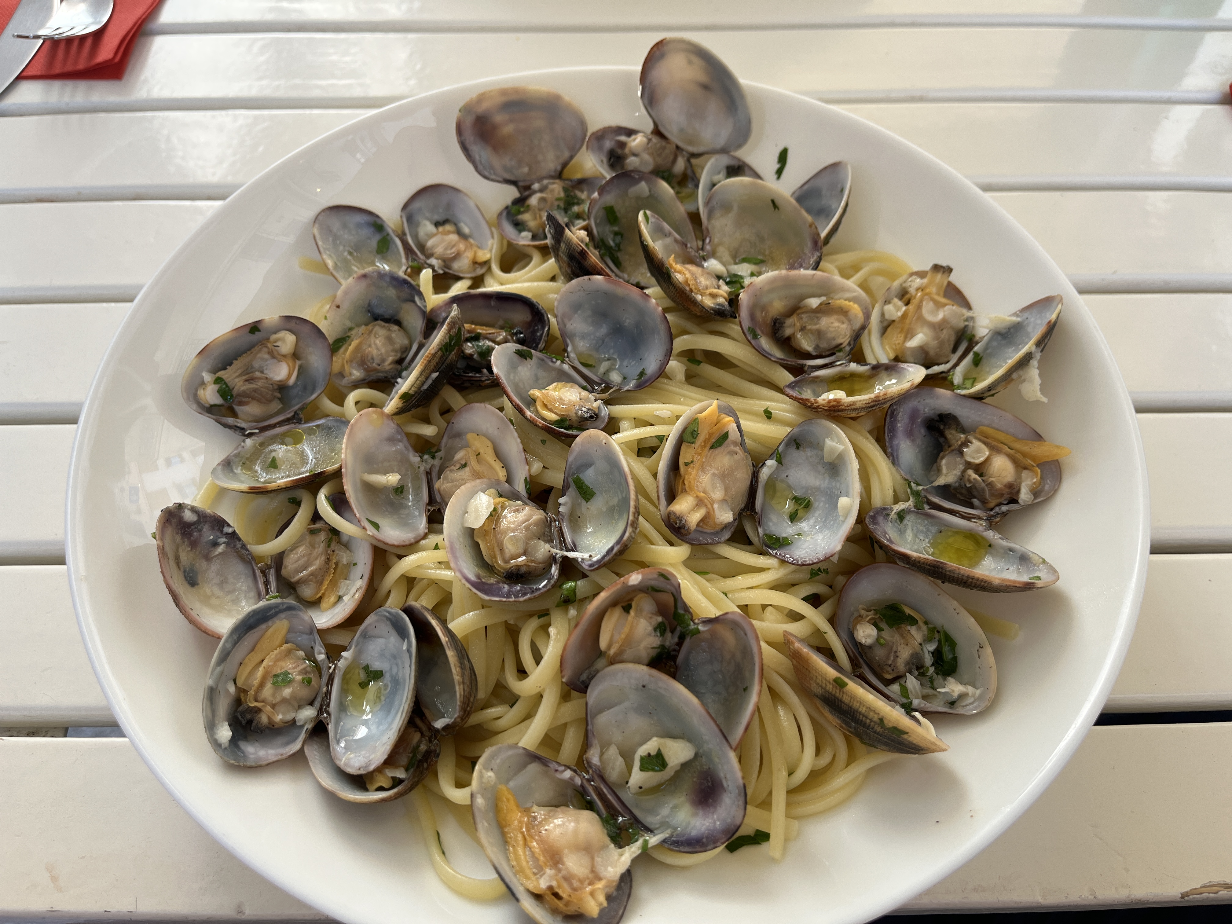  파리 마레지구/보주광장 현지인 맛집, Salento Marais (+메뉴 추천)