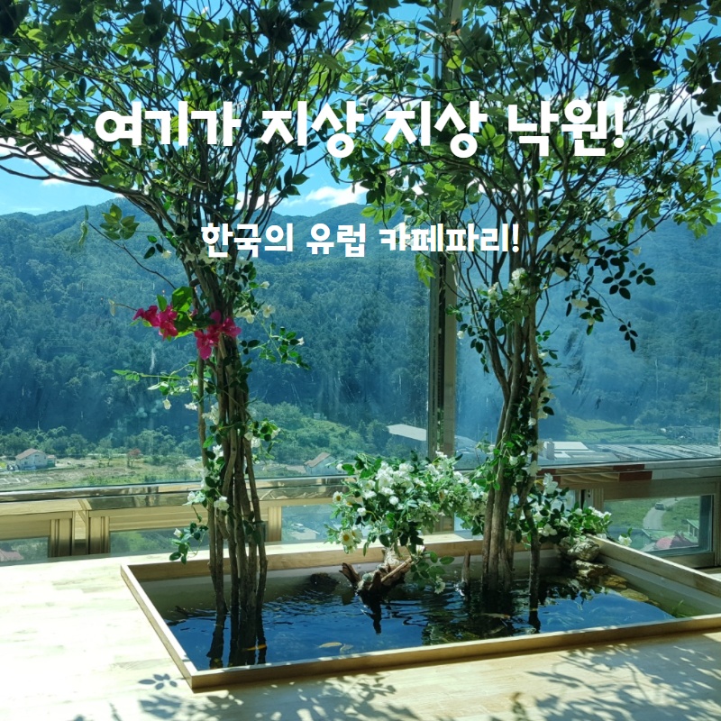  가평 높은곳에 있는 특이한? 카페! 상어들의 낙원! 카페 파리!