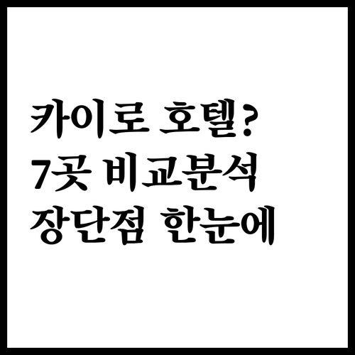 카이로 호텔 예약 고민 끝 7곳 상세