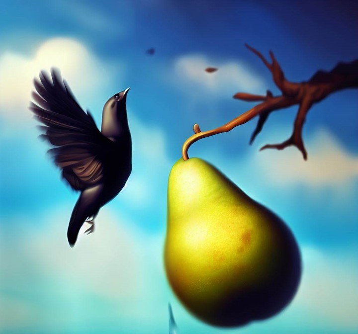 Crow_and_pear