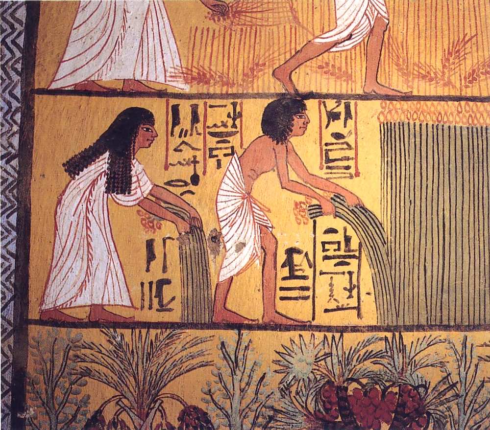 수확하는 고대 이집트 남녀