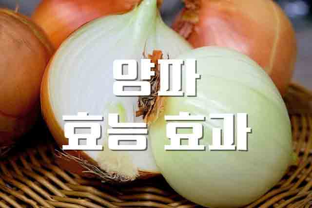  양파, 매운 맛이 주는 놀라운 효능 효과