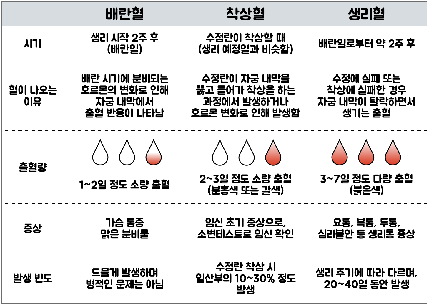 착상혈 생리혈 배란혈