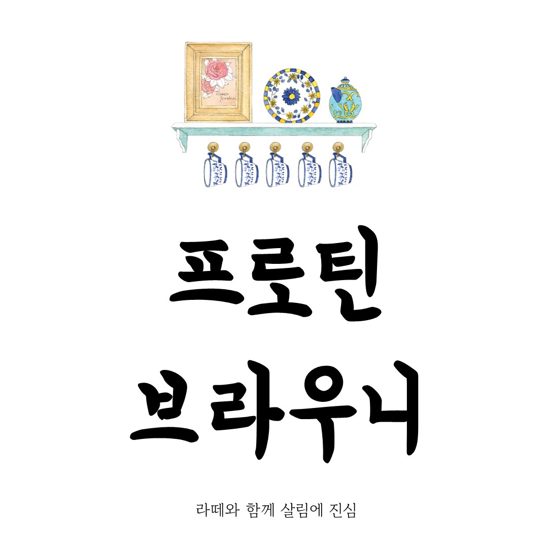 프로틴 브라우니 완전 가이드: 다이어트와 맛의 모든 것