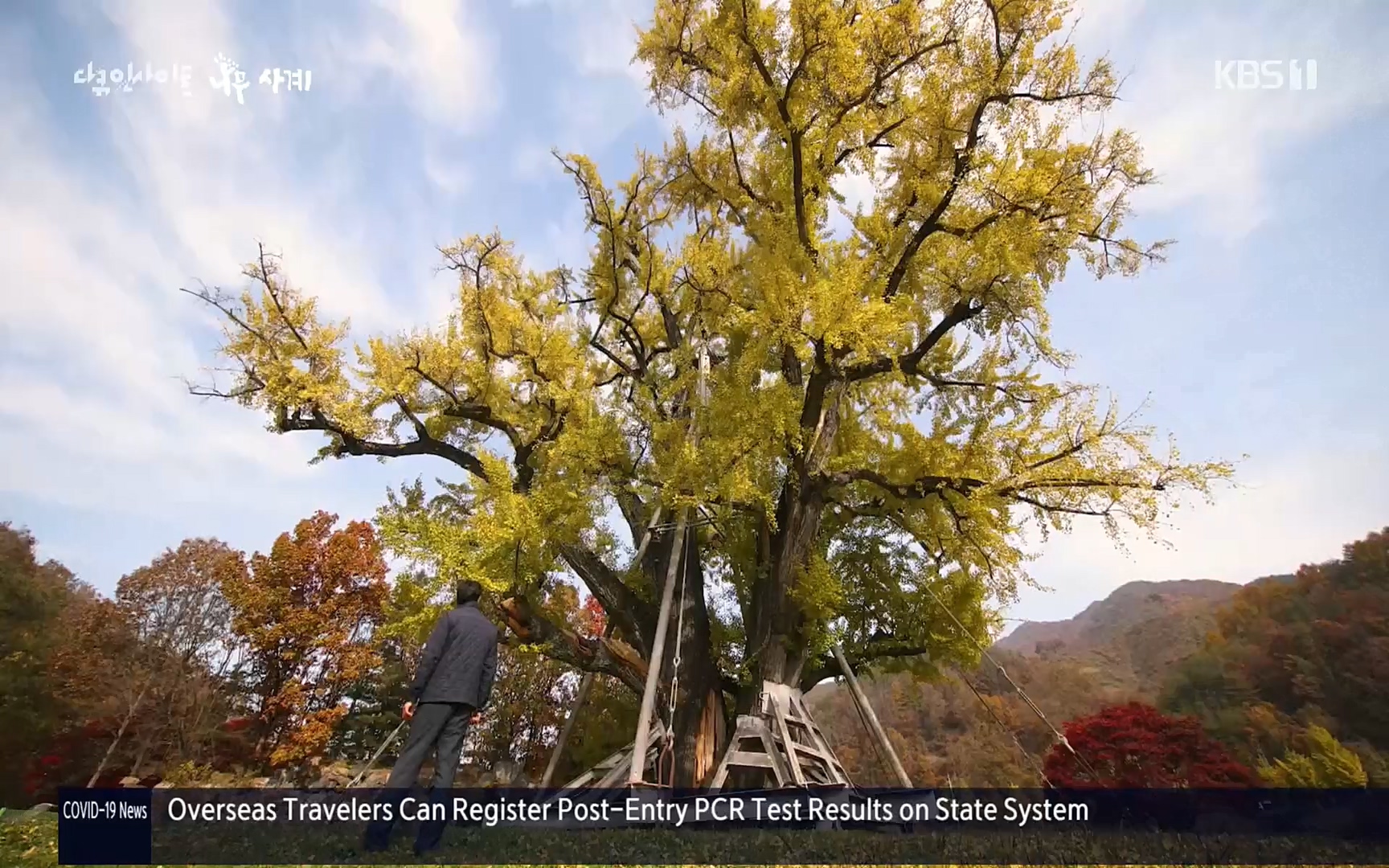 다큐 인사이트.E124.220908p.H264-F1RST.mp4_20220912_143721.950.jpg