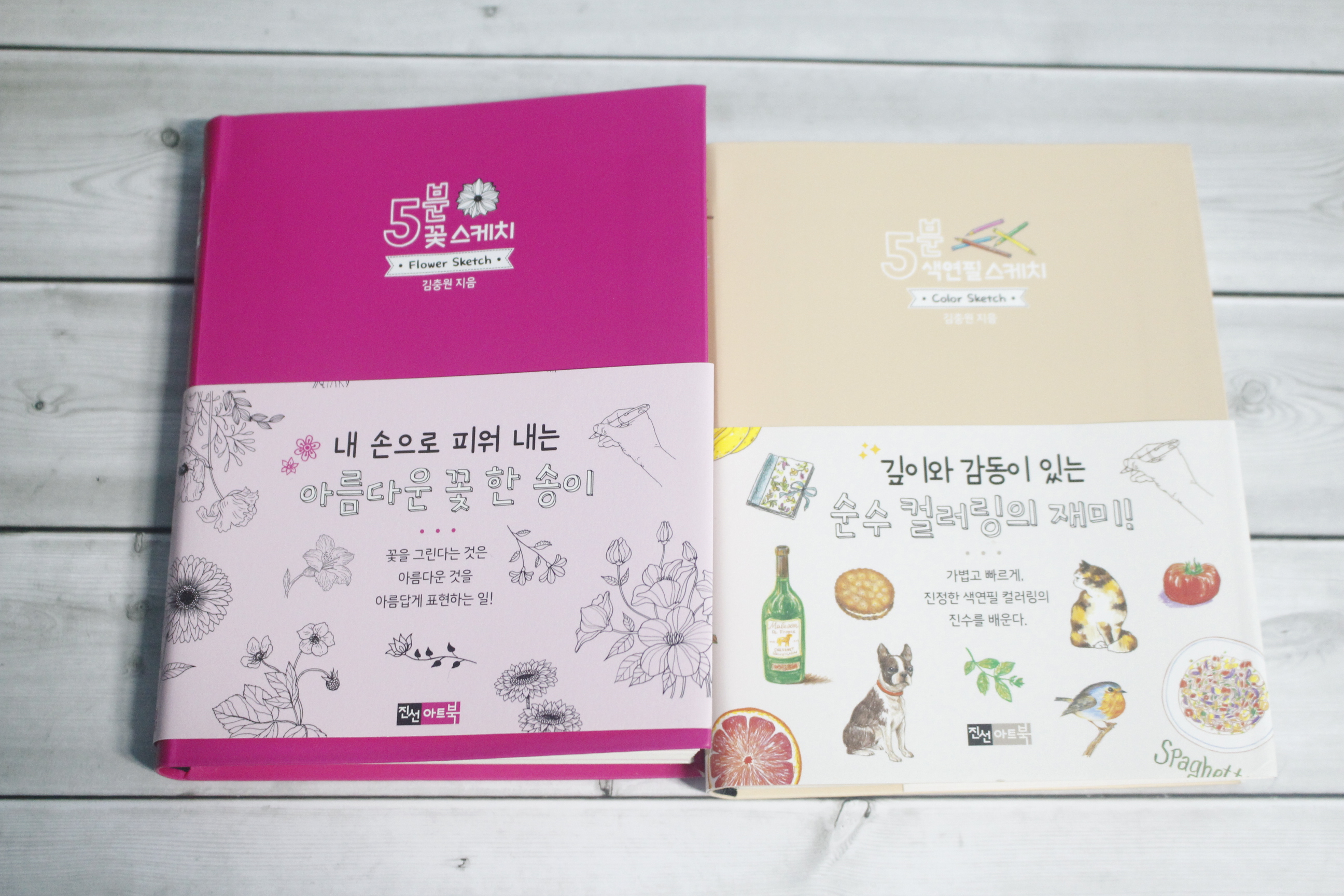  초보 그림 그리기 책 추천 5분 꽃 스케치 & 5분 색연필 스케치