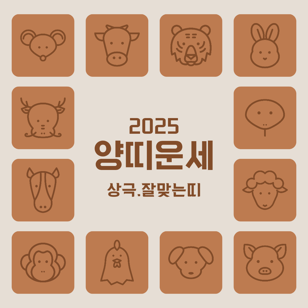 2025년 양띠 운세 총운 상극 잘맞는띠 총정리