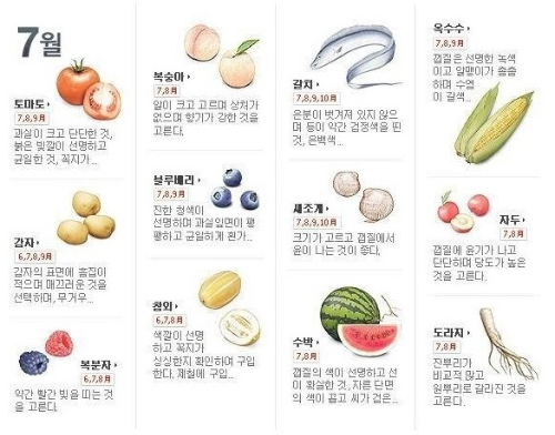 7월 제철음식